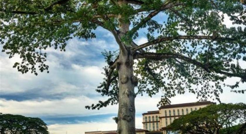 Kuok Pin Hotel Кучинг Экстерьер фото
